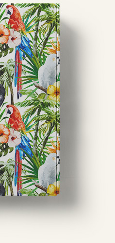 White and blue custom mailer box with Packwire Logo